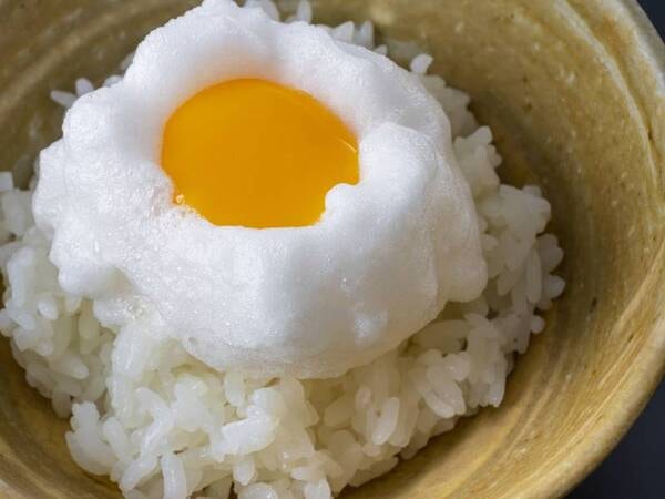 卵かけご飯/例