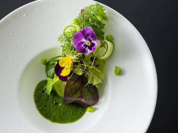 冷野菜/例