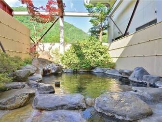 筋肉と自然と遊ぶ宿　田島館／露天風呂【女湯】単純泉と炭酸水素塩泉のブレンド温泉。肌に優しい泉質です。