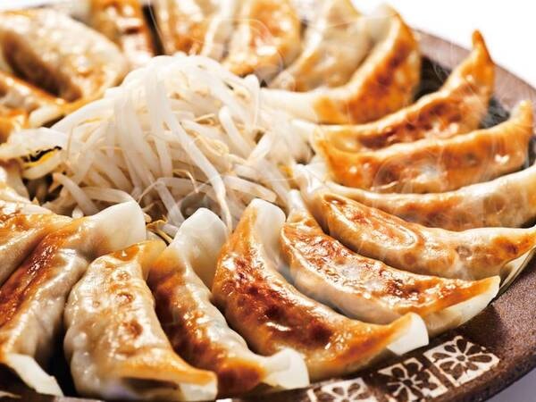 【夕食/例】名物！浜松餃子