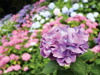 形原温泉の温泉 旅行ガイド 21年版 ゆこゆこ