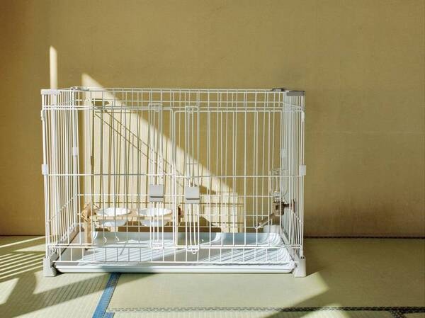 ワンちゃん用アメニティもご用意