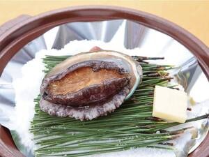 鮑の磯焼・