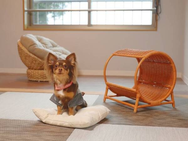 わんちゃん同伴専用和室10畳客室/例