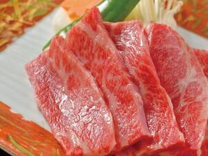 松阪牛の鉄板焼き/例