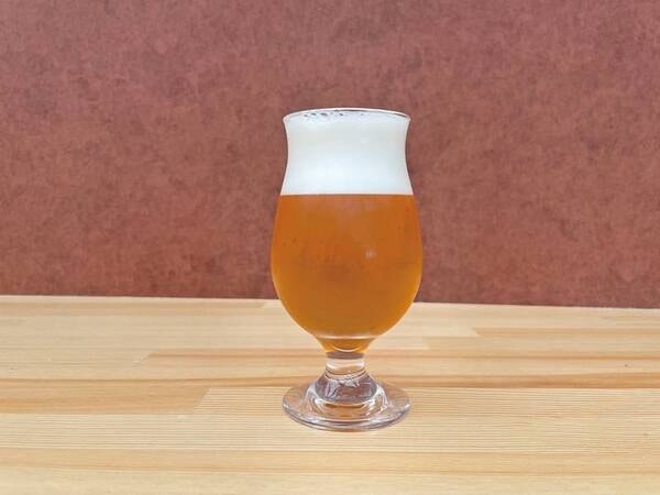 【クラフトビール/例】施設内で自家製クラフトビールをじっくり丁寧に発酵･熟成。すっきり飲みやすいフルーティーなビール！