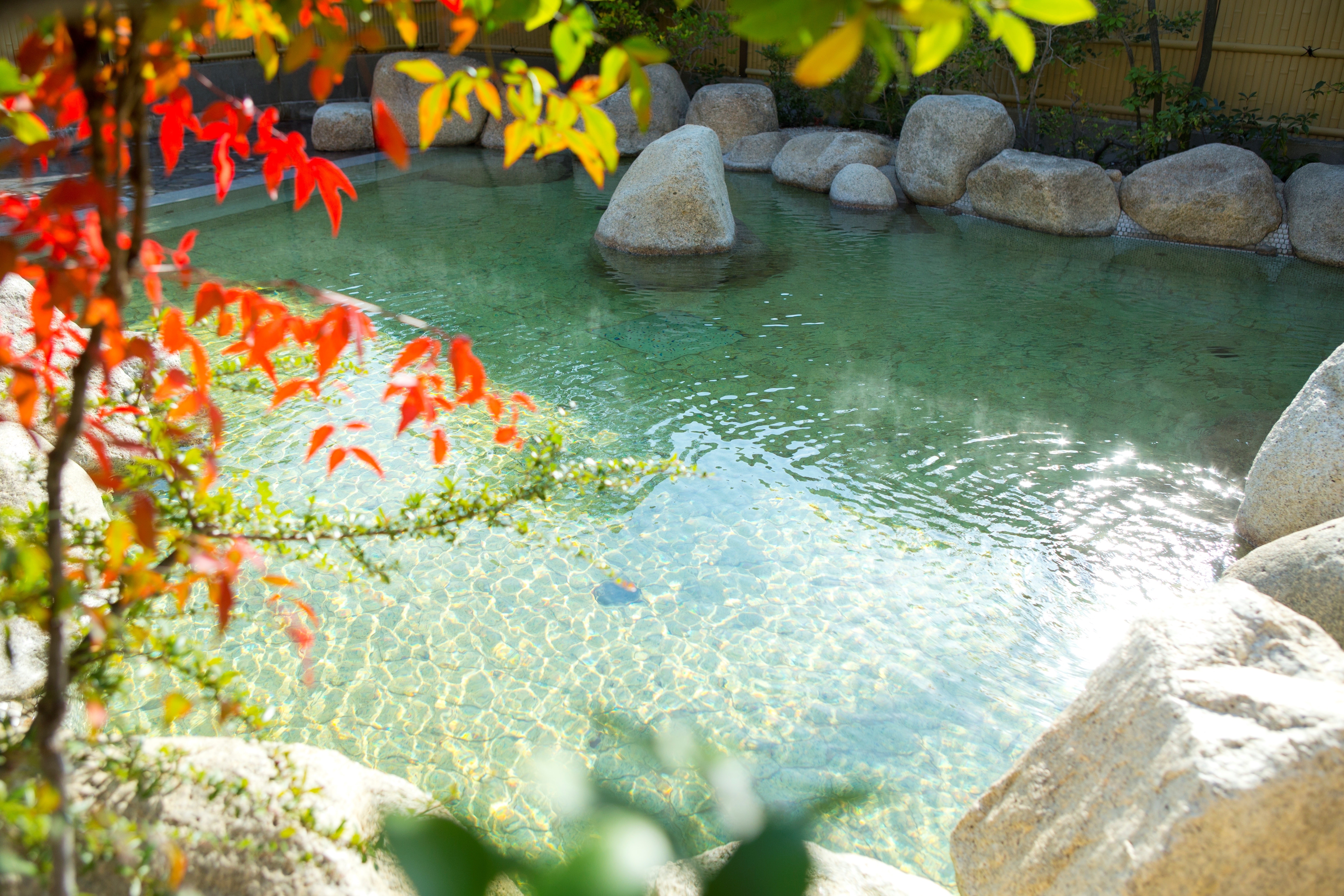 【紅葉/例】見頃は例年11月中旬～下旬頃