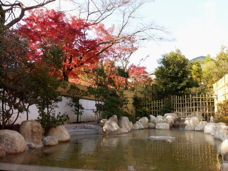 【紅葉/例】見頃は例年11月中旬～下旬頃
