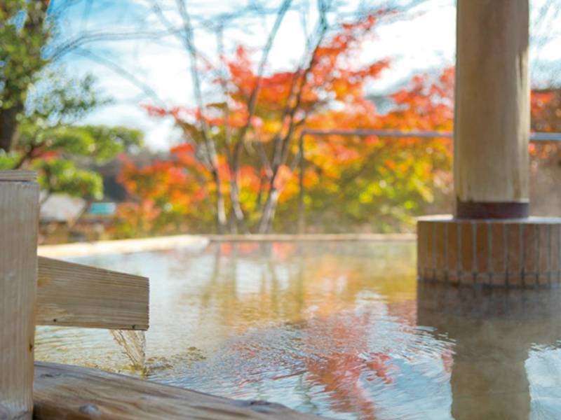 湯の山温泉 グリーンホテル 風呂