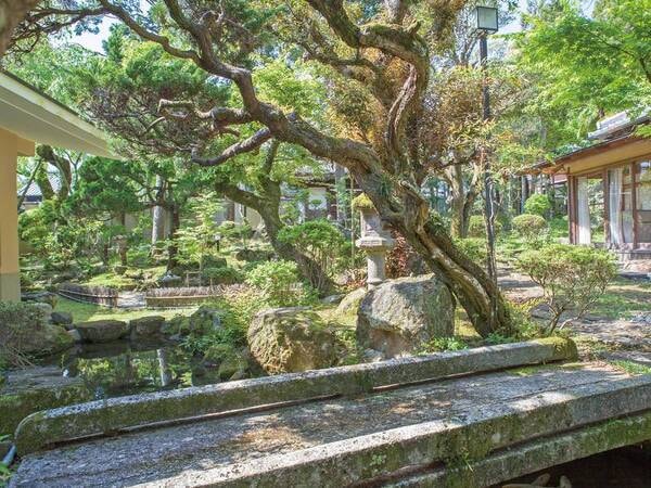 【日本庭園】館物の中心に位置し、池には鯉が。四季折々の風景を堪能できる。