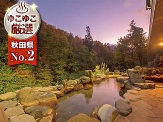 湯けむりの宿　稲住温泉（共立リゾート）／【露天風呂】自然に囲まれた源泉かけ流しの露天風呂