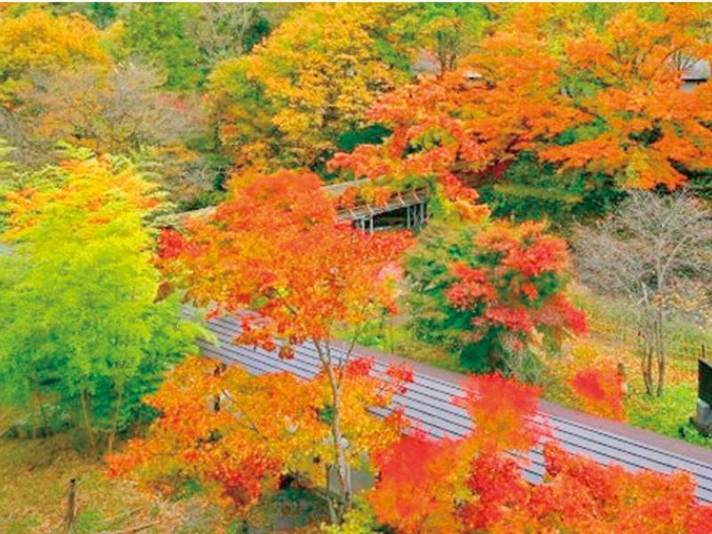 
【2018年】紅葉が美しい“日本庭園”33選！美しすぎる～大正初期の原型を留める貴重な眺望です。。。【秋/一例】