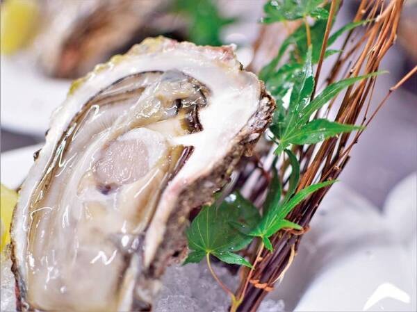 【平日限定×夏の一押し/例】丹後の天然岩牡蠣（昨年の一例。今年のメニューは未定です）