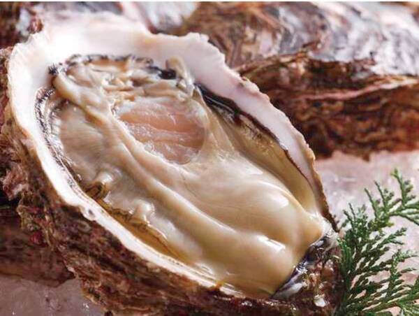 【夕食/例】岩牡蠣（昨年の提供メニュー一例。今年のメニューは未定です）