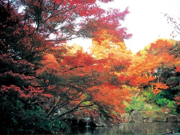 【観光情報】秋は紅葉が楽しめる須磨寺※車で約1分