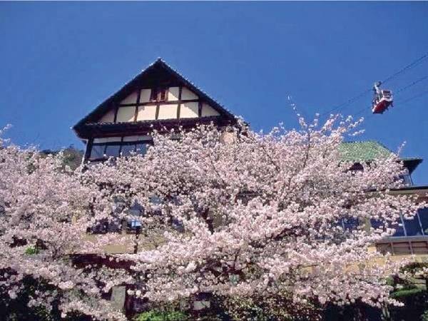 【観光情報】春は桜が楽しめる須磨寺※車で約1分