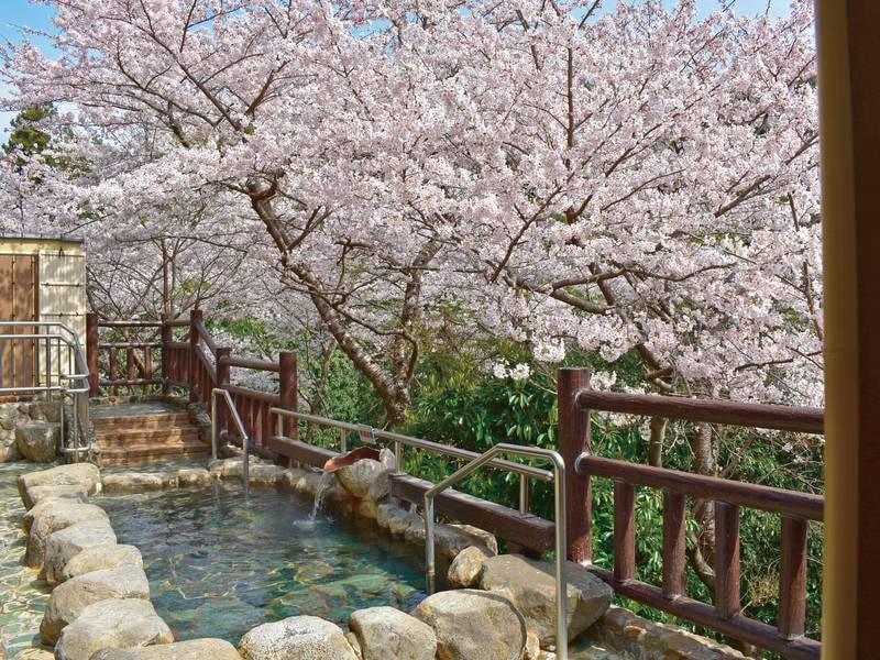 月の湯（桜は例年3月下旬～4月上旬が見頃）