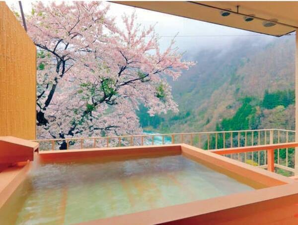 【川音露天風呂付客室からの眺め/例】渓谷と雄大な山々を眺める