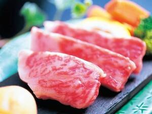 牛ステーキ/例