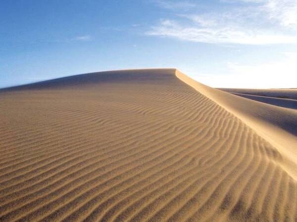 鳥取砂丘(車で約30分)