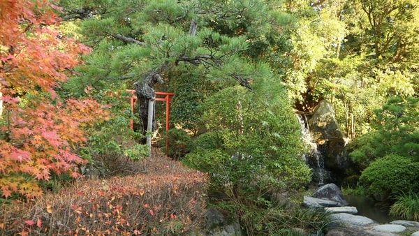 秋の日本庭園「曲水の庭」