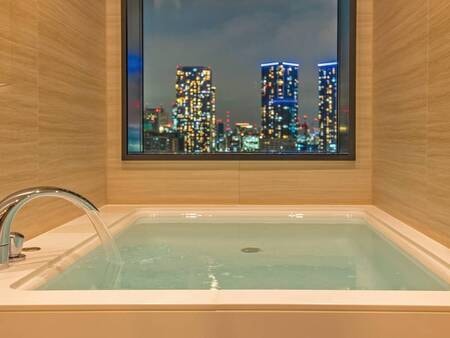 ラビスタツイン/ビューバス