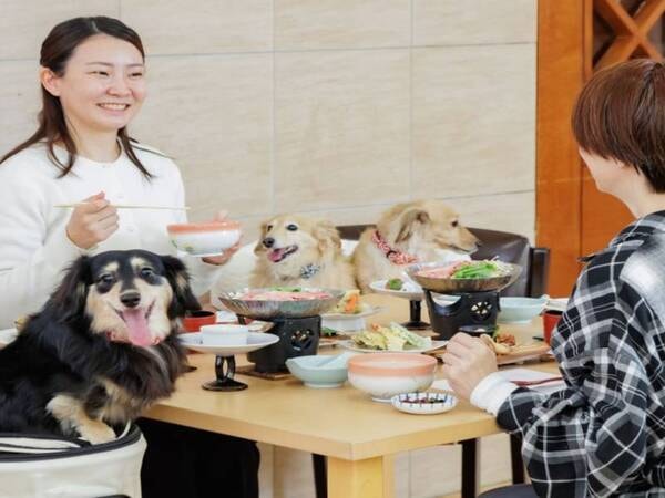 わんちゃんと一緒にお食事を楽しめます。
わんちゃん用の夕食メニュー（有料）もございます。