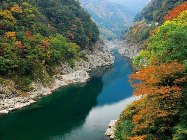 【絶景】大歩危・小歩危の渓谷沿い。夏はラフティング、秋は紅葉の名所となり、四季を通して雰囲気を変える。