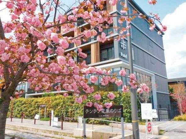 【外観】梅小路公園側　春