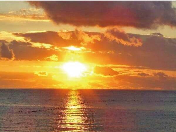 【客室眺望/例】
朝日を臨み、月明かりが煌く、全てのお部屋と温泉大浴場はオーシャンビュー。