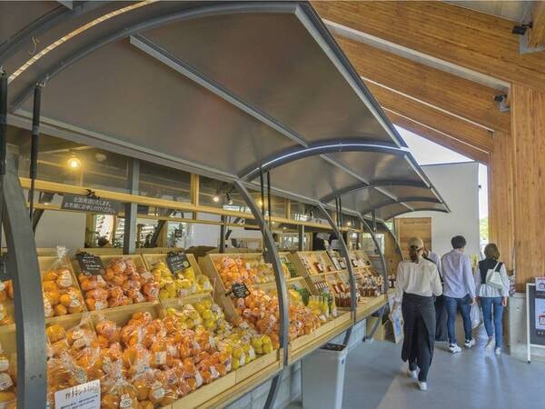 【マルシェヴィソン】「とびっきりの鮮度」、いわゆる料理人が日々仕入を行うような高品質でおいしい農産物や加工品を提供