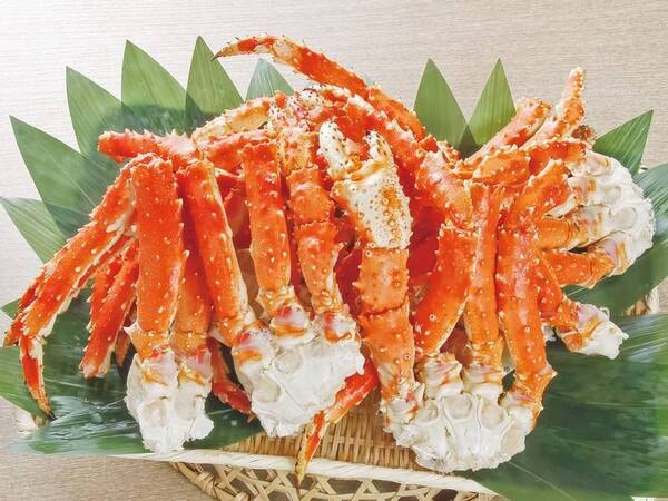 【ビュッフェダイニング「せんなぎ」/例】本ズワイ蟹にくわえ、なんとタラバ蟹も食べ放題！（2026/4/30まで予定）