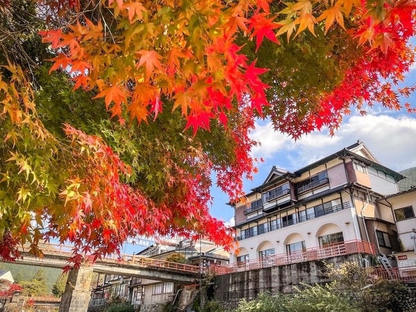 【秋の外観/例】宿周辺は例年11月初旬が紅葉の見頃です