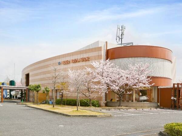 【外観】春には庭で桜が愉しめる