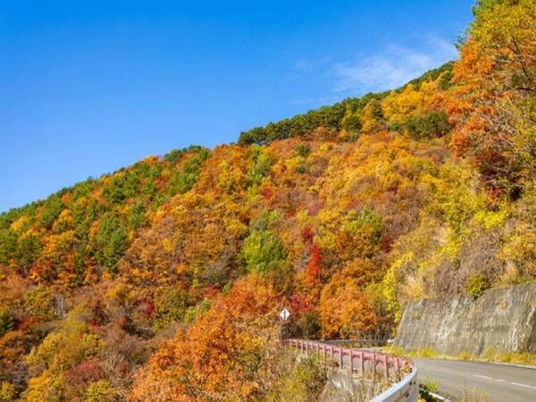 周辺景色（秋）