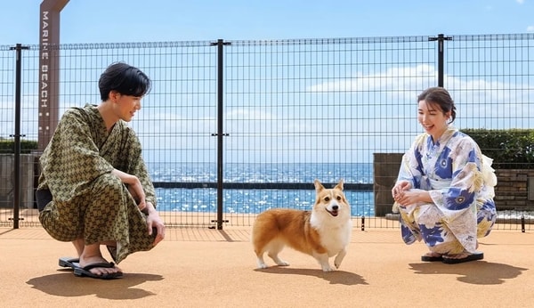 屋外ドッグラン