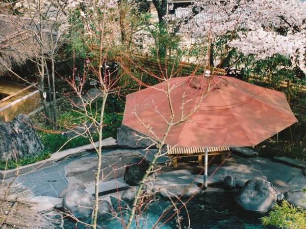 【かぐや姫の湯(女湯)】竹の産地である脇田にちなみ、17種類の竹が囲む露天温泉。浮世絵を眺めながら、優雅に湯浴み。春には桜が咲く期間も。