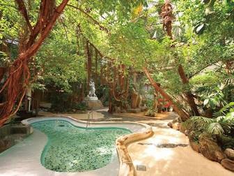 くつろぎの宿　泰泉閣／【ジャングル風呂】移しい新緑に囲まれて湯あみを愉しむ