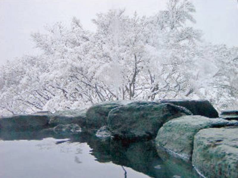 冬には雪見風呂を楽しめるかも