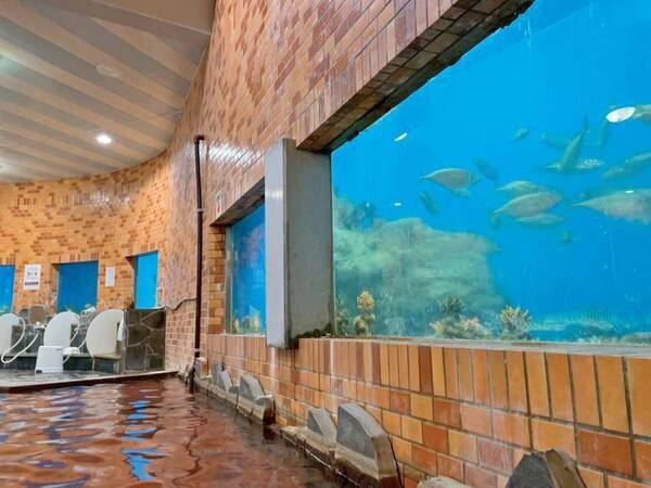 【水族館大浴場　竜宮】浴槽の周りを魚たちが泳ぐ、まるで水族館のような大浴場
