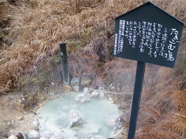 九重いやしの里 ホテル大高原の宿泊予約 人気プランtop3 ゆこゆこ