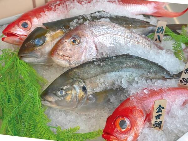 【夕食ビュッフェ/例】鮮度抜群・おいしさ溢れる魚介を新鮮なままお届け！