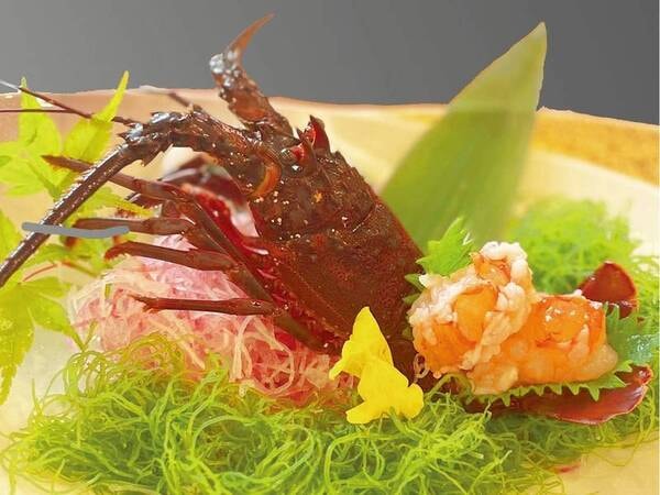 伊勢海老のお造り（2～3名で1尾）