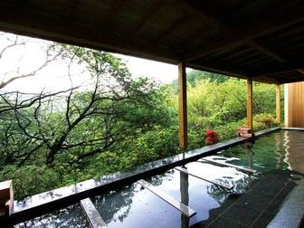 バイキング食べ放題 格安9 800円以下のホテル 温泉旅館 宿 静岡県 21年最新 ゆこゆこ