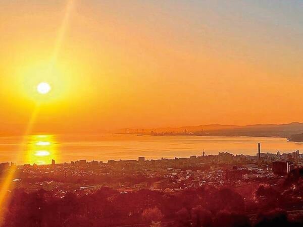 海側眺望の一例