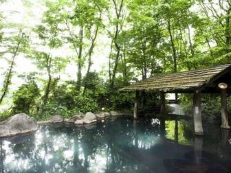 旅館 こうの湯/【男女別露天風呂「森の湯」】木々に囲まれ湯浴み