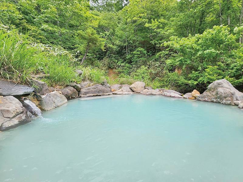 渓流露天風呂　さえりの湯（混浴）：ミルキーシルキー硫黄泉