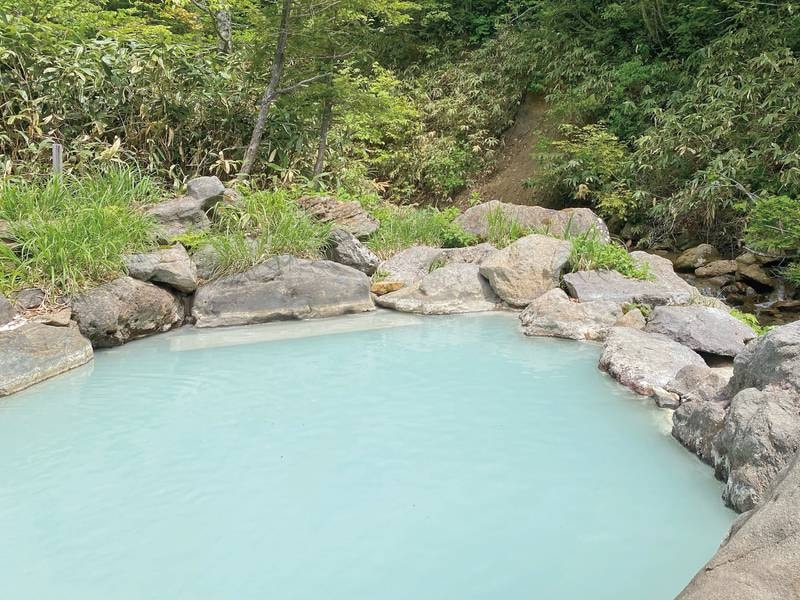 渓流露天風呂　さえりの湯（混浴）