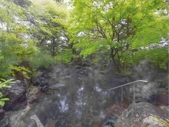 メルキュール裏磐梯リゾート＆スパ／五色温泉露天風呂
