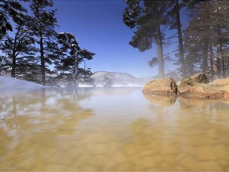 裏磐梯レイクリゾート　五色の森